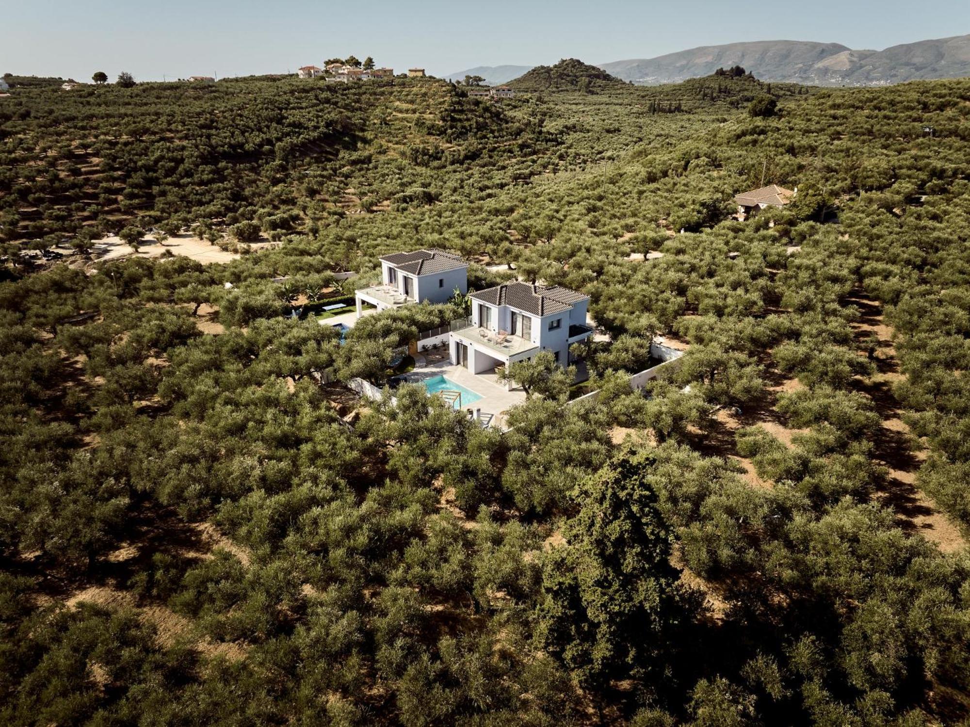 Kapodistria Luxury - Serene Escape In A Scenic, Secluded Location, By Zantewize Villa Plános